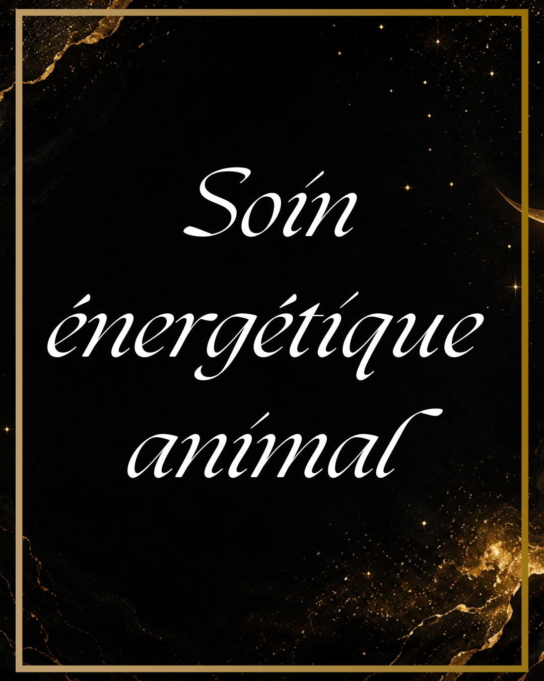 Soin énergétique pour votre animal