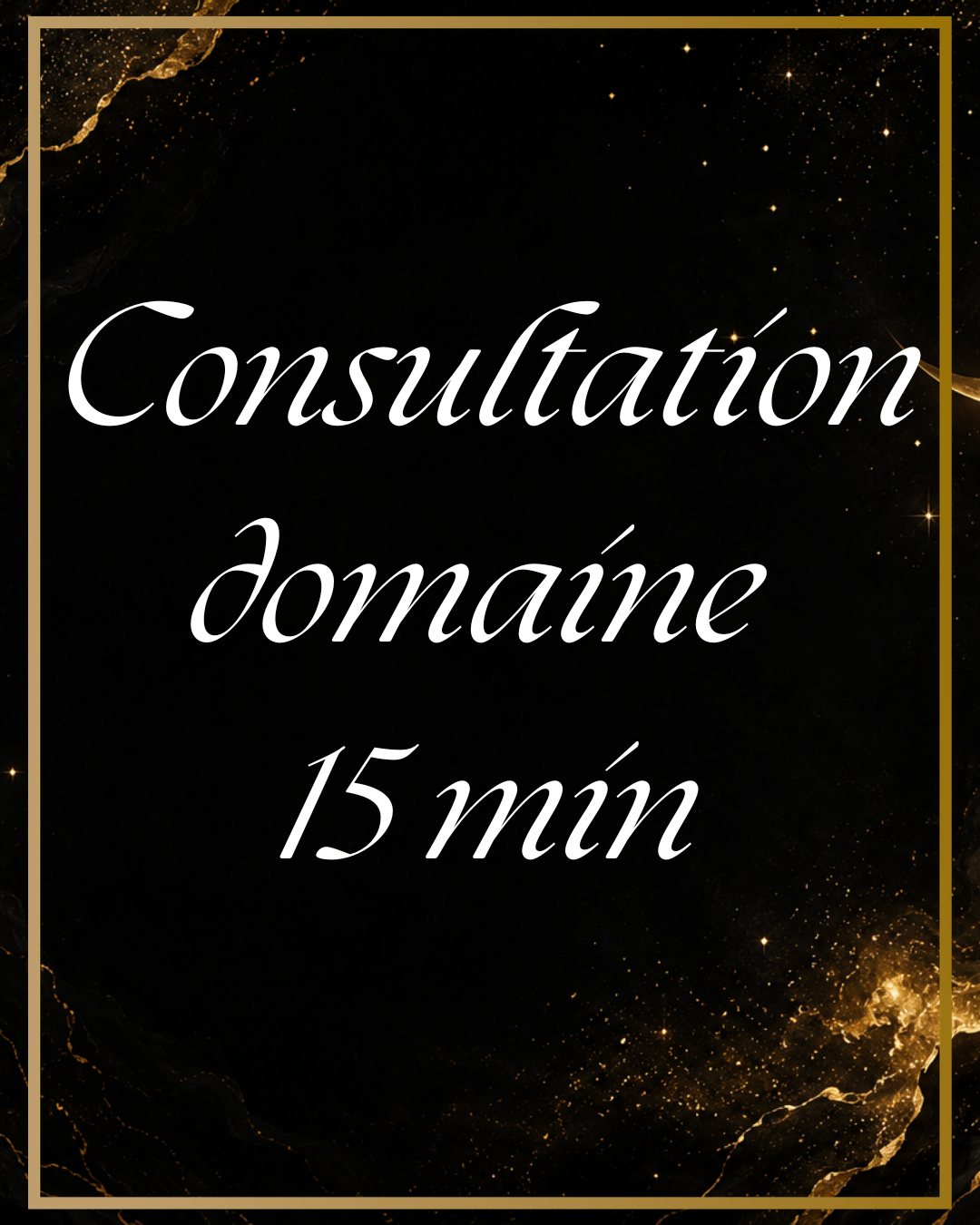 Consultation un domaine 15 min