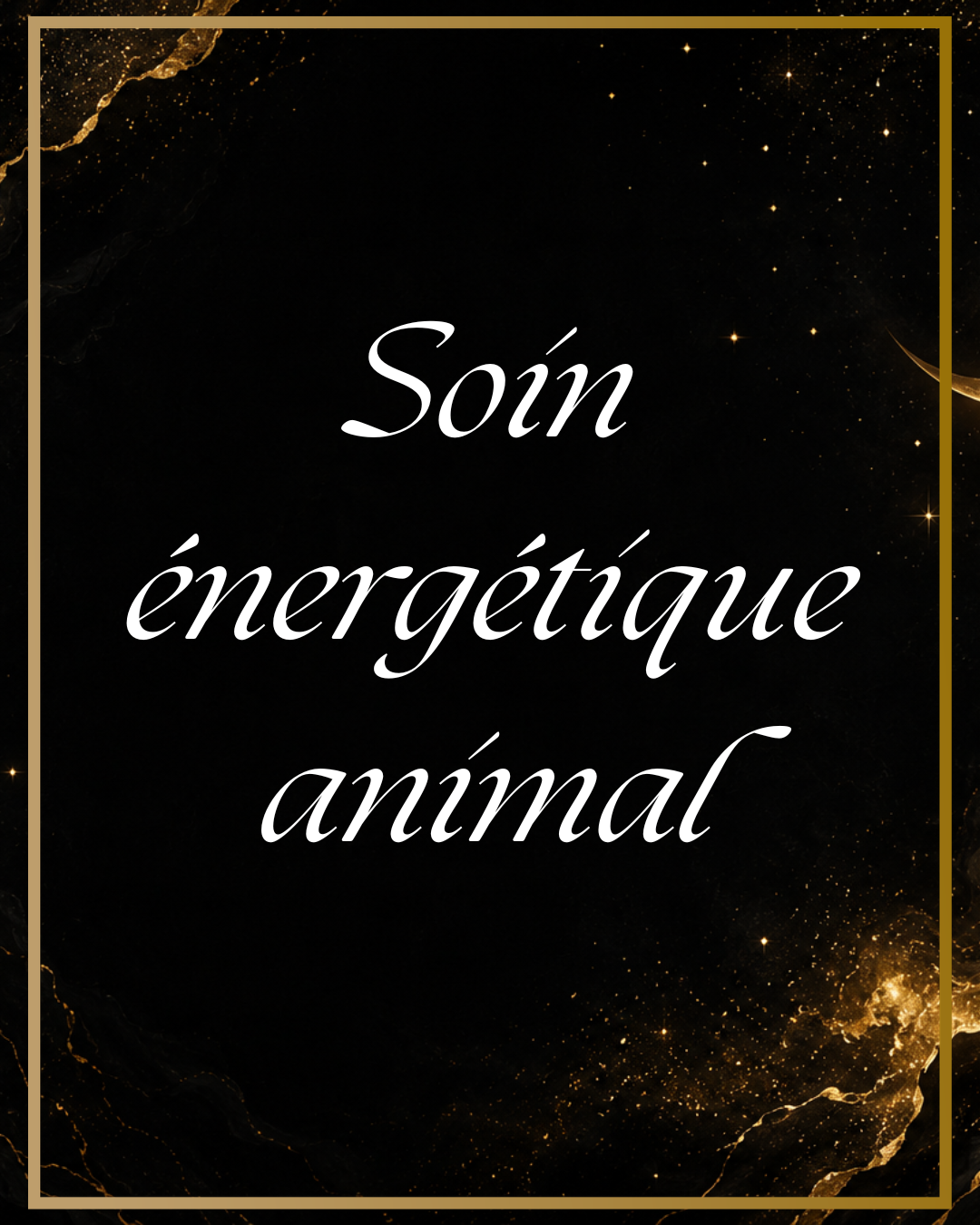 Soin énergétique pour votre animal
